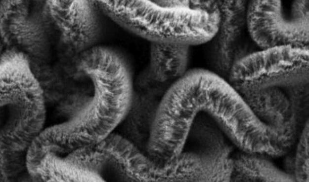 行业新闻：可拉伸的超等电容器，为柔性可穿戴设备铺路